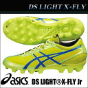 【あす楽】DSライト X-FLY Jr TSI73