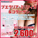 【美しいバストを徹底的にサポート!】enjoy365 プエラリア・ミリフィカ &コラーゲン★女子力UP!女性の魅力を最大限に引き出す!★【3か月分】