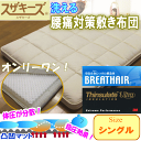 【送料無料/あす楽】洗える腰痛対策敷き布団(シングルサイズ)...