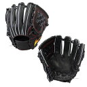 【あす楽対応】 アイピーセレクト 限定(スポット) 硬式 グラブ 内野手用 Ip041-Ss ※ラベル交換不可 硬式用 グローブ 野球用品 スワロースポーツ