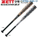 【あす楽対応】 送料無料 ゼット ZETT ブラックキャノンZ2 少年野球 バット J球 80cm