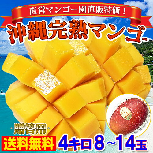 【マンゴー祭】 沖縄完熟マンゴー 贅沢 4キロ！ 秀品 農園直送 送料無料 通常36000円が65％引きで12800円!! 贈答用