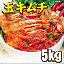 送料無料 玉キムチ 韓国キムチ 白菜 5kg クール便