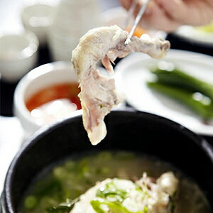 サムゲタン レトルト 参鶏湯 韓国 400g ハーフ チャンス君