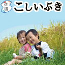 【期間限定セール】【送料無料】新潟県佐渡産こしいぶき10kg（白米/玄米/無洗米/7分づき）　慣行栽培　平成30年産　カレーやチャーハンに合うお米【ラッキーシール対応】