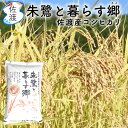 【スーパーSALE限定価格!】【通常3,790円→3,100円】令和3年産 朱鷺認証米 佐渡産コシヒカリ5kg(白米/無洗米/七分づき/玄米)特別栽培米 農薬化学肥料5割減世界農業遺産 朱鷺と暮らす郷【送料無料(沖縄県を除く)】【普通便で発送】