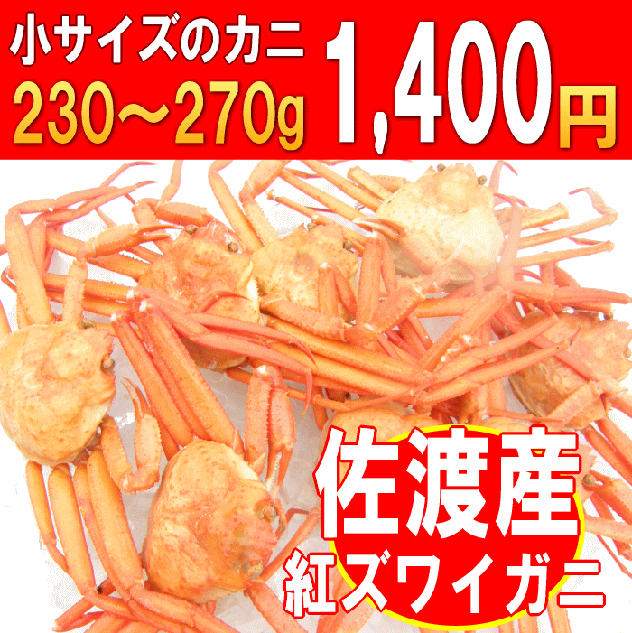 ■激安■佐渡産紅ズワイガニ〜カニ小8匹入り〜鮮度がいいから美味しい!!　獲って、茹でて、すぐ発送