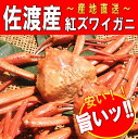 【訳あり】佐渡産紅ズワイガニ〜丸得〜規格外品 大きめの蟹4〜7匹鮮度がいいから美味しい!!　獲って、茹でて、すぐ発送