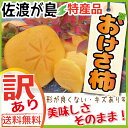 【送料無料】【訳あり】【予約】佐渡産おけさ柿さわし柿 9kg...