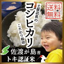 【送料無料】【朱鷺認証米】【新米】平成28年産 新潟県佐渡産コシヒカリ5kg(白米/玄米/無洗米)特別栽培米?大野山麓で育てた土屋店長のお米?【楽ギフ_のし宛書】【楽ギフ_メッセ入力】【RCP】
