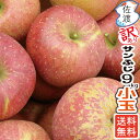 【送料無料】【訳あり】佐渡産りんご『サンふじ』 9kg 小玉...