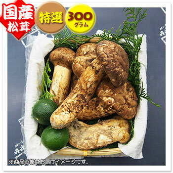 【国産松茸】：特選松茸：300g(約3〜12本)：岡山・淡路産