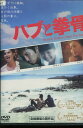ハブと拳骨 /尚玄, 虎牙光揮, 宮崎あおい【中古】【邦画】中古DVD