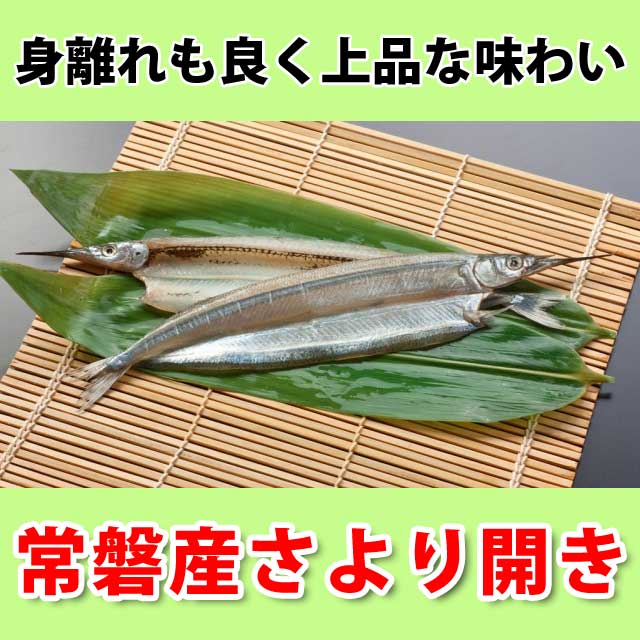 常磐産 細魚（サヨリ）の開き干物 / さより / ひもの 【SBZcou1208】