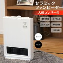 【全国送料無料】【楽天ランキング1位獲得】人感センサー付き ...