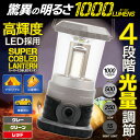 【全国送料無料】驚異の明るさ1000ルー...