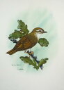 水彩画 「鳥 動物画」 -L3 -新品-特価品