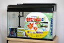 ニッソー 60cmガラス水槽 観賞魚飼育5点セット 60Hz(西日本)仕様 【熱帯魚・アクアリウム/水槽・アクアリウム/水槽セット】