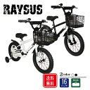 【全国送料無料】【簡易組立】Raysus(レイサス
