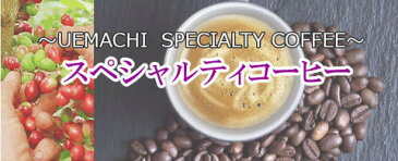 電動コーヒーミル カリタ ナイスカットGミル クラシックアイアン（コーヒー豆付き） 【送料無料(一部除外地域あり)・特別焙煎豆のお試し付】