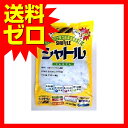 シャトル イエロー 3.6L 猫 ネコ ねこ キャット cat ニャンちゃん 送料無料 ※商品は1点 (個) の価格になります。