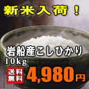 ★特別価格35％OFF！★新潟県岩船産コシヒカリ　5kg×2 ★店舗販売人気NO1！新潟県産コシヒカリ★