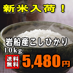 ★特別価格28％OFF！★【送料無料】【岩船地区限定】【23年産】新潟県岩船産コシヒカリ　5kg×2 【SBZcou1208】