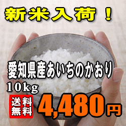 ★特別価格28％OFF！★【送料無料】【23年産】愛知県産あいちのかおり　5kg×2 【SBZcou1208】