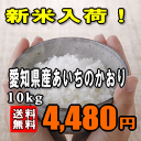 ★特別価格28％OFF！★【送料無料】【23年産】愛知県産あいちのかおり　5kg×2 【SBZcou1208】