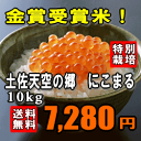 【送料無料】【28年産】【特別栽培米】土佐天空の郷にこまる 10kg(5kg×2) 【お米日本一コンテスト最優秀賞受賞米】
