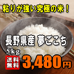 ★特別価格24%OFF！★【送料無料】【23年産】究極の米！長野県産 夢ごこち　5kg