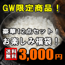 【送料無料】【GW限定販売】店長厳選！お楽しみ福袋（3000円）★数量限定★