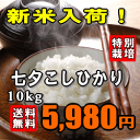 【新米入荷!特別価格】【料理人も絶賛のプレミアム米】【送料無料】【特別栽培米】【29年産】七夕コシヒカリ 10kg(5kg×2) ※期間限定プレゼント付き♪