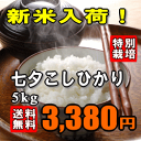 【新米入荷!特別価格】★料理人も絶賛のプレミアム米★【送料無料】【特別栽培米】【28年産】七夕コシヒカリ 5kg ※期間限定プレゼント付き♪