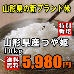 ★レビューを書くだけで500円OFF！★【送料無料】【今話題の人気米】【特別栽培米】【23年産】山形県産つや姫　5kg×2 【FS_708-10】