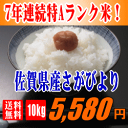 【送料無料】【29年産】佐賀県産さがびより 10kg(5kg×2) 【特Aランク米】