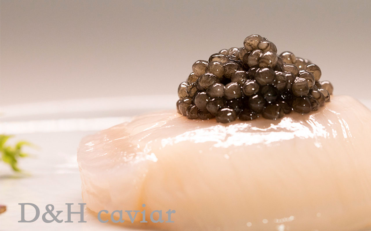 D&H caviarフレッシュオショートル<strong>キャビア50g</strong>