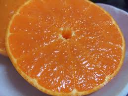 送料無料 愛媛 佐田岬産 訳あり 『 せとか 』 5k 産地直送 みかん王国愛媛の贈り物