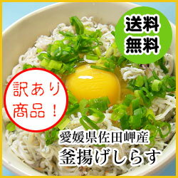 愛媛佐田岬産 訳あり 『 釜揚げしらす （生） 3k　』 【送料無料】佐田岬漁師の贈り物