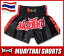 定番デザイン ムエタイパンツ 子供用 RED ICE ブラック レッドライン MUAYTHAI 黒 ボクシング ムエタイトランクス キックパンツ