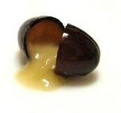 【まとめ売り】【50袋セット販売】【合計1500粒】【生 NAMA プラセンタ Five 30粒】豚プラセンタ 馬プラセンタ 植物プラセンタ 羊プラセンタ マリンプラセンタ 5種類のプラセンタが万人のお肌へ浸透 生サプリ 10年前にタイムスリップ【あす楽】【送料無料】