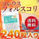 〓送料込〓コレウス フォルスコリ 24000mg BIGサイズ 約120日分 (240粒)★1粒に100mg含有★〓【コレウスフォルスコリ】〓燃焼 系ダイエット フォルスコリサプリメント メール便発送