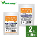 【送料無料】コエンザイムQ10 サプリ60粒 2袋セット計120粒 約2か月分1粒あたりCoQ10 30mg配合燃焼系サプリのカルニチンやαリポ酸と相性抜群 補酵素 燃焼系ダイエットのベースアップ エイジングケア 若杉サプリ