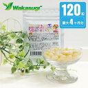 【送料無料】ふかひれコラーゲン&燕の巣エキスソフトカプセル ...