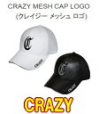 【激レア・即納】CRAZY MESH CAP LOGO クレイジー メッシュ ロゴ キャップ 新品!