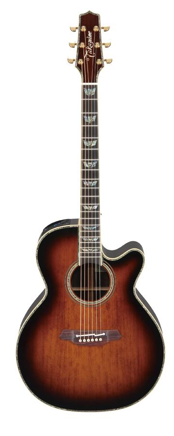 【祝！楽天ランキング1位入賞】【送料無料】新品◆Takamine タカミネ DSP500 VTS◆トップモデル