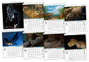 恐竜カレンダー■壁掛け式カレンダー「福井県恐竜博物館カレンダー2012」