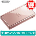 棚卸しの為★6月7日発送★新品】ニンテンドーDSL