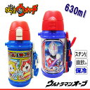 キャラクター ダイレクトステンレスボトル【0.63L】/SB...
