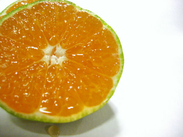 ܾ²λδŻäѤ֤䤫ʤߤڥ꡼ϥۡS5kg